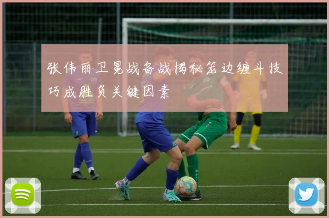 张伟丽卫冕战备战揭秘笼边缠斗技巧成胜负关键因素