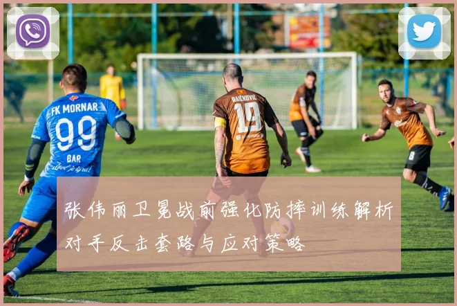 张伟丽卫冕战前强化防摔训练解析对手反击套路与应对策略